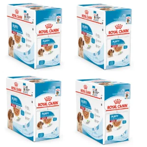 40x140g Royal Canin Puppy Medium in Salsa - Cibo Umido per Cani