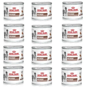 12x195g Royal Canin Recovery