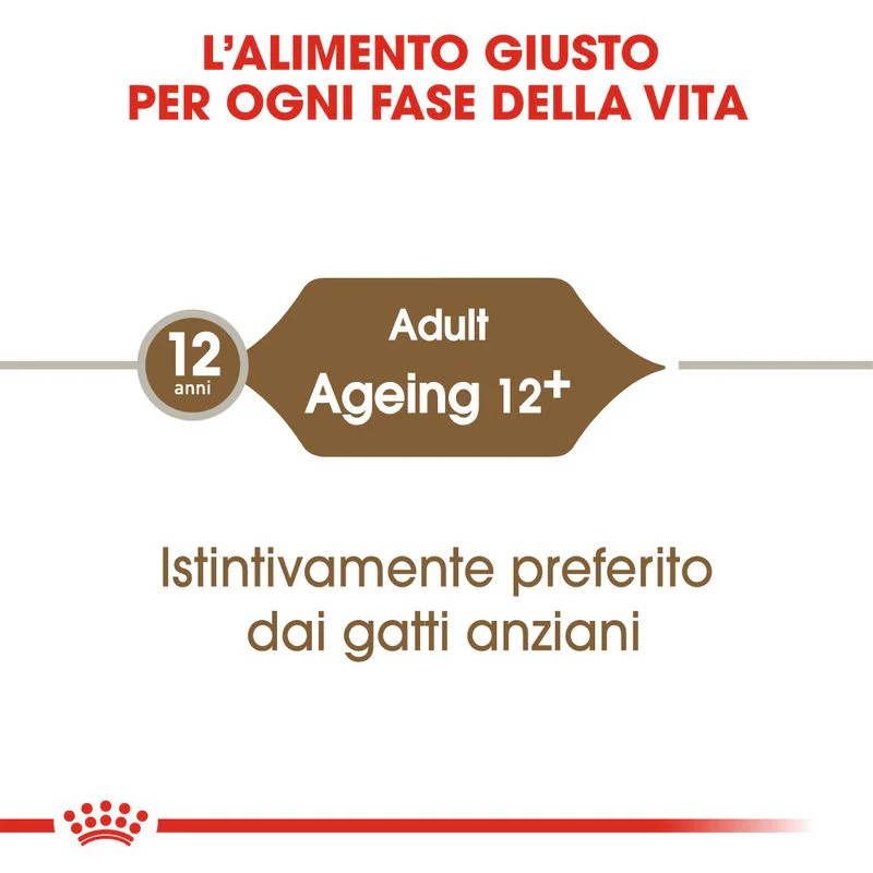 12x85g Royal Canin Ageing 12+ in Salsa - Umido per Gatti - immagine 5
