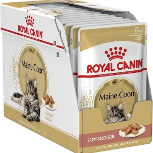 12x85g Royal Canin Maine Coon Adult in Salsa