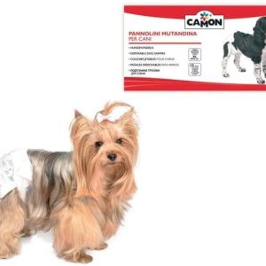 Camon Pannolini Mutandina Cani S 25–35 cm
