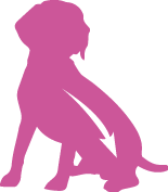 2x15kg Gemon All Breeds Adult Maiale Riso - immagine 6