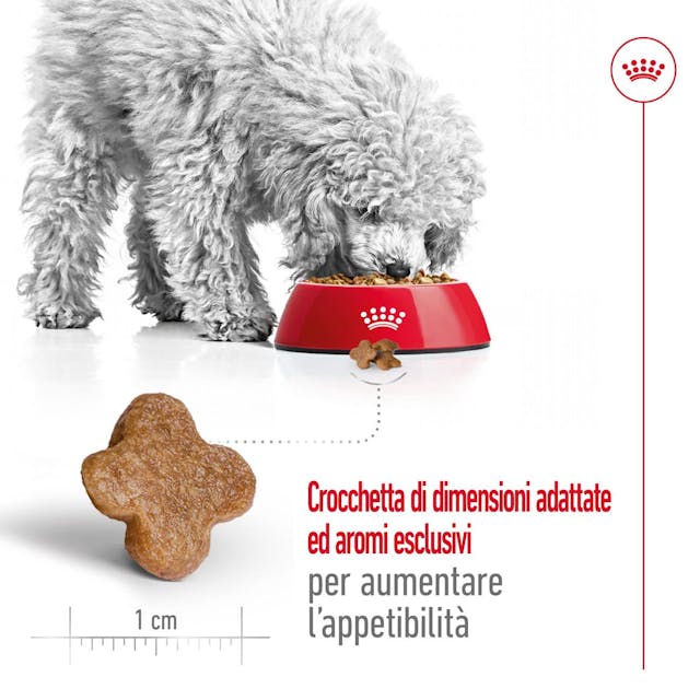 2x2kg Royal Canin Mini Adult 8+ - Crocchette per Cani - immagine 8