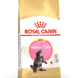 Royal Canin Maine Coon Kitten 400g - Crocchette per Gatti