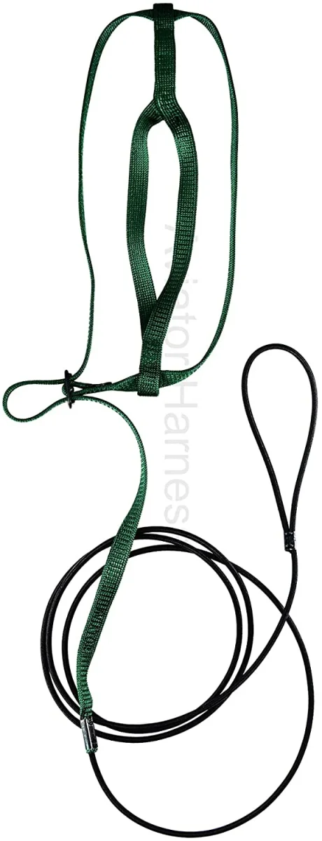 Aviator Pettorina per Pappagalli Large - Colore Verde - immagine 4