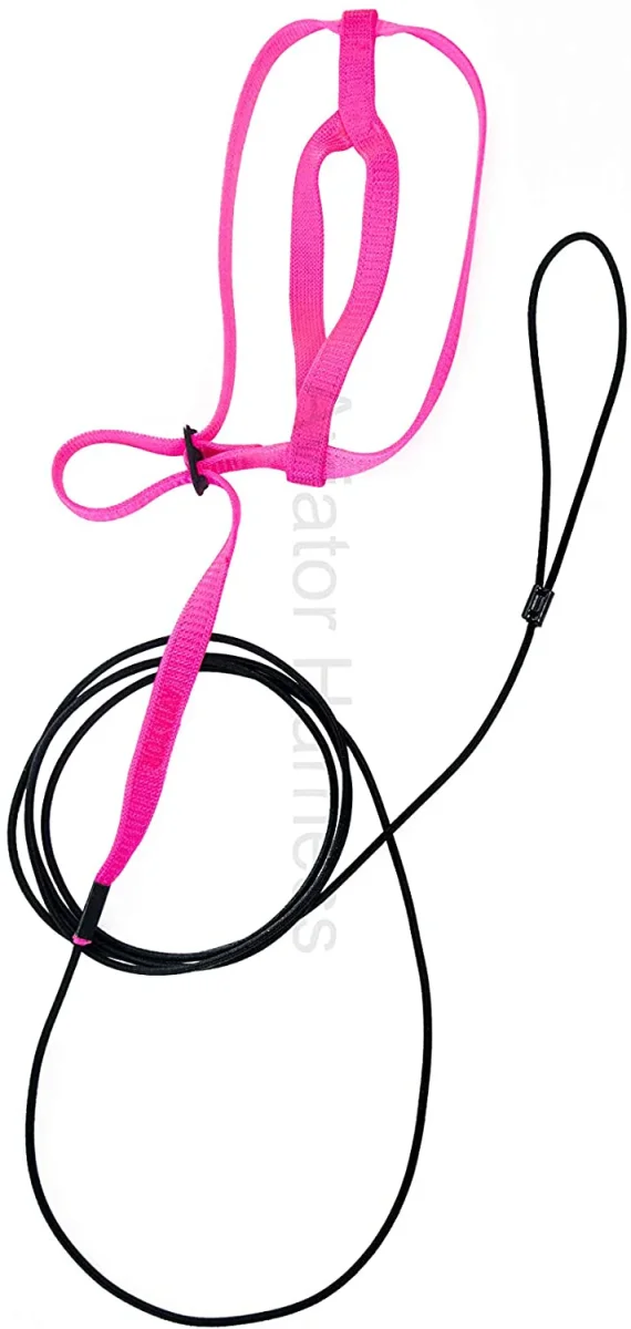 Aviator Pettorina per Pappagalli Small - Colore Rosa - immagine 4