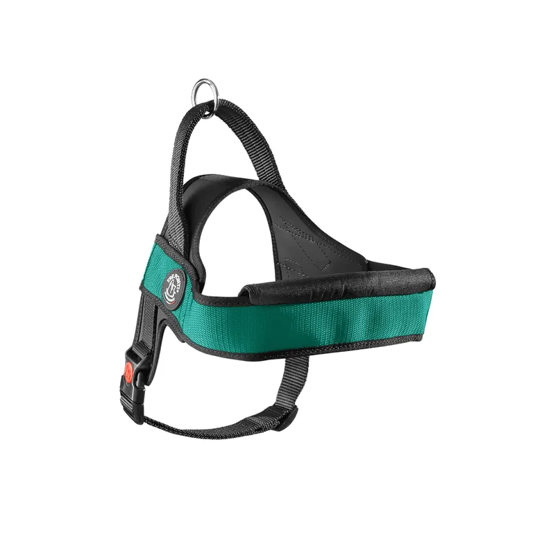 TRE PONTI Pettorina Primo Plus Onyx Smeraldo L - immagine 2