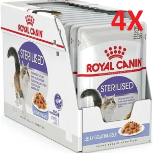48x85g Royal Canin Sterilised37 in Gelatina - Umido per Gatti