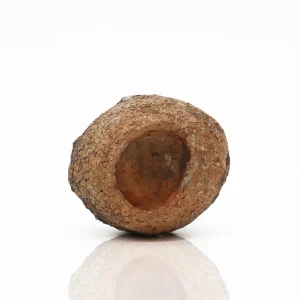 AMTRA Roccia Uova Dinosauro SM Decorazione Naturale Acquario