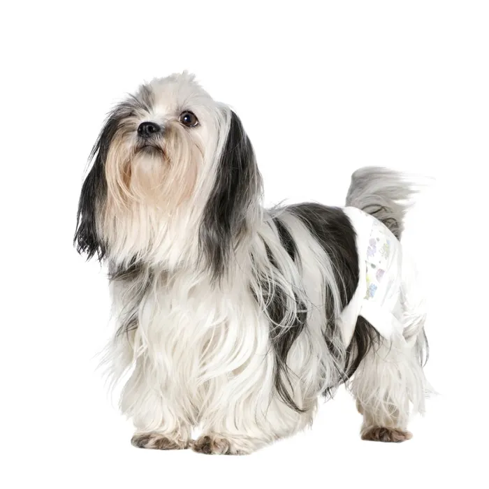 Camon Pannolini Mutandina per Cani - Taglia L - 12pz - immagine 3