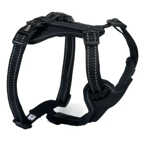 Camon Pettorina in Neoprene con 5 Regolazioni - 57/71 cm Nera