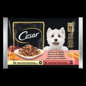Cesar Delizie del Giorno Selezione in Salsa 4x100 g