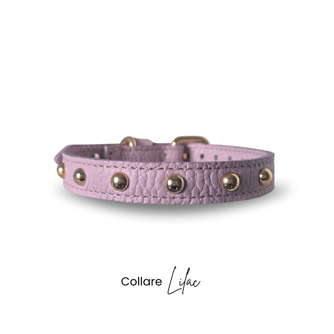 Collare cane LILAC by Snugandfit – Vera Pelle colore lilla – Collare artigianale