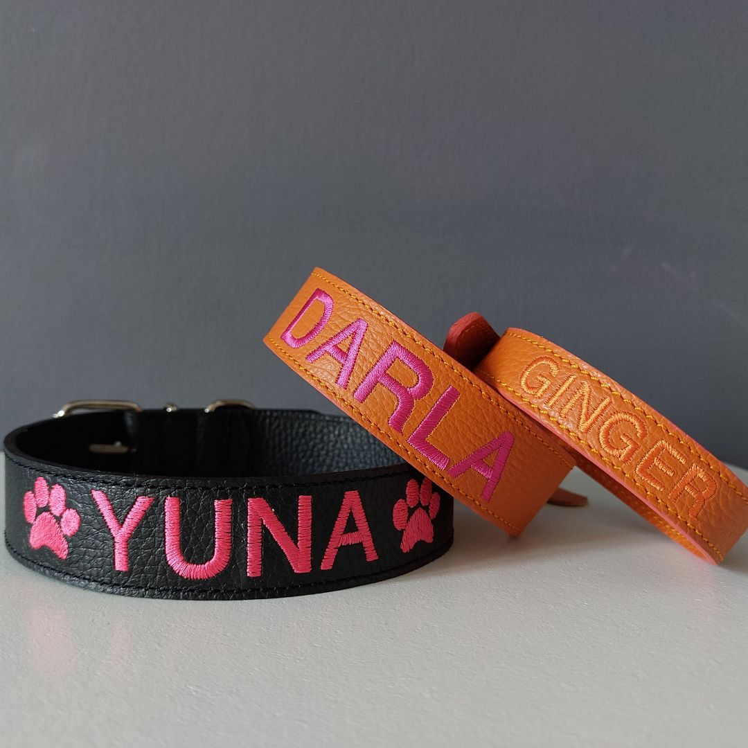 Collare cane Personalizzato con Ricamo e/o Set Ricamato - immagine 4