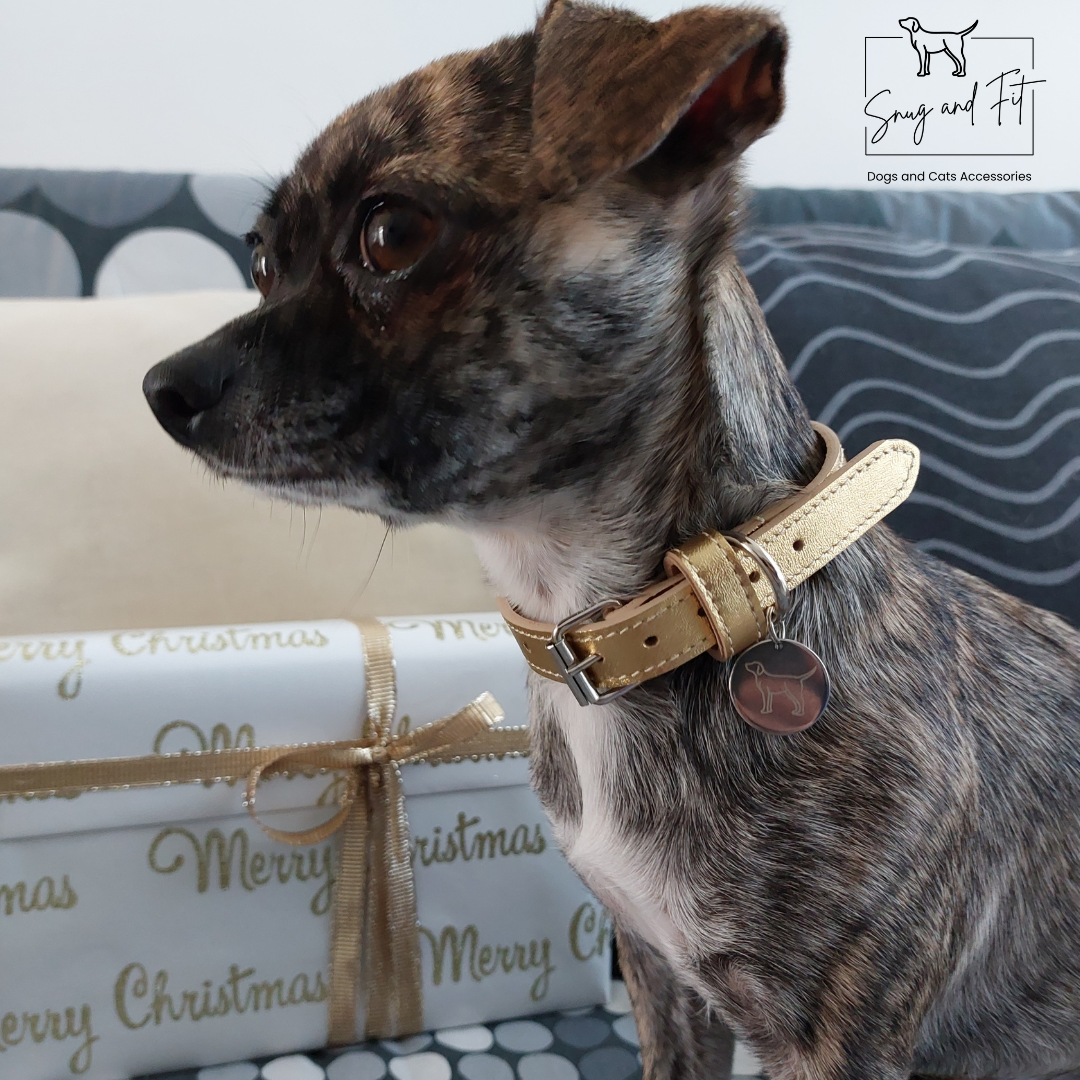 Collare cane artigianale in vera pelle Oro – Limited Edition - immagine 4