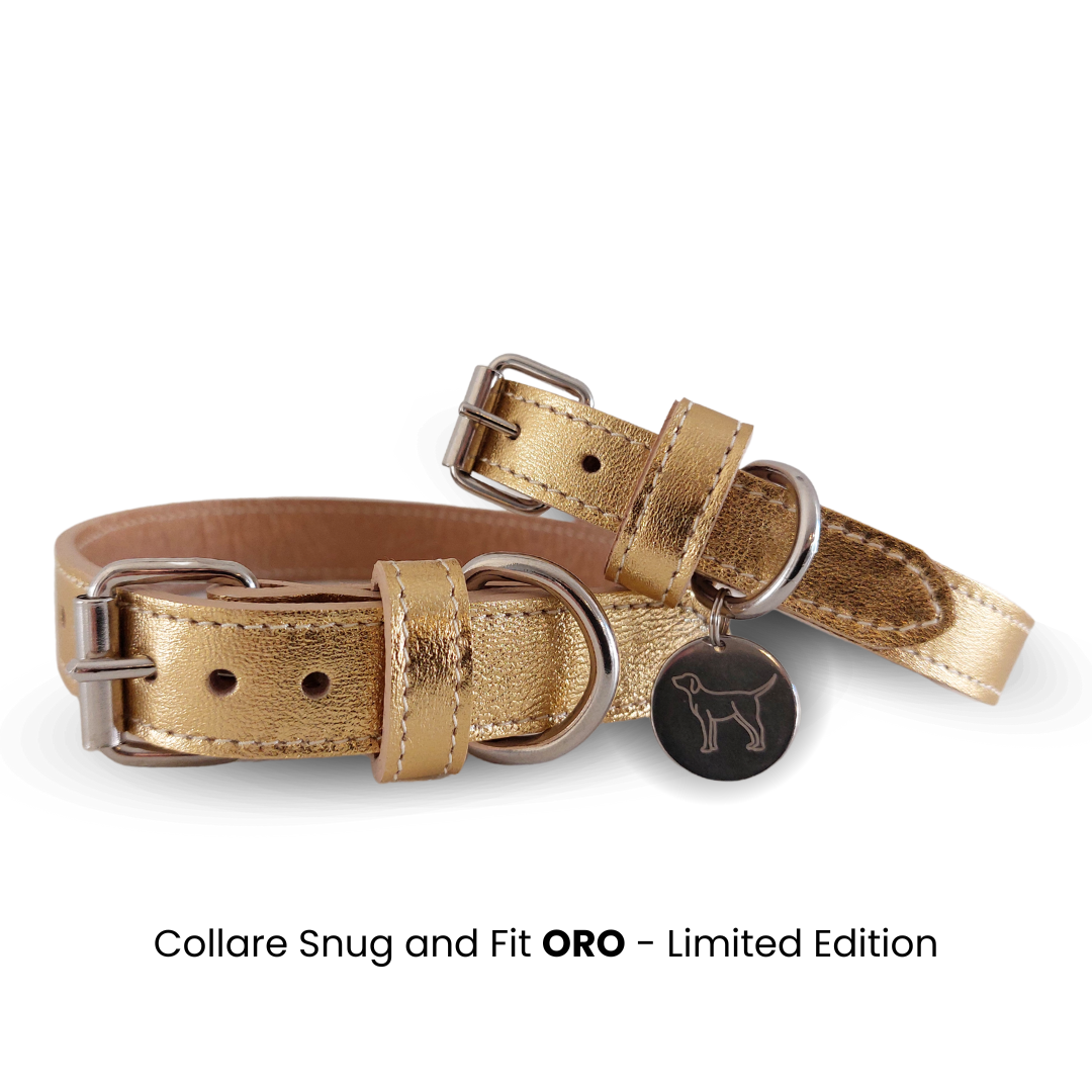 Collare cane artigianale in vera pelle Oro – Limited Edition - immagine 2