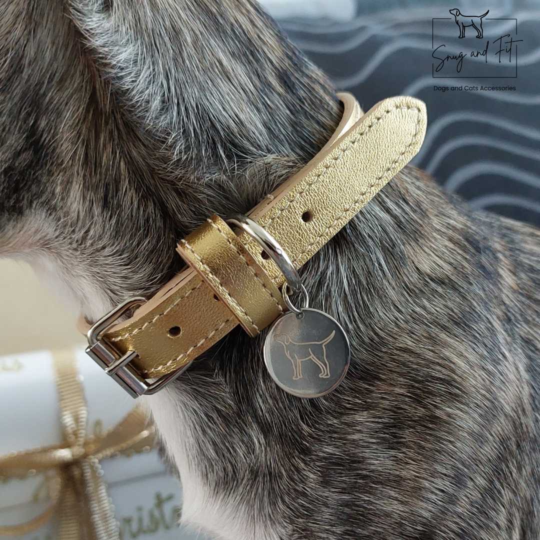 Collare cane artigianale in vera pelle Oro – Limited Edition - immagine 3