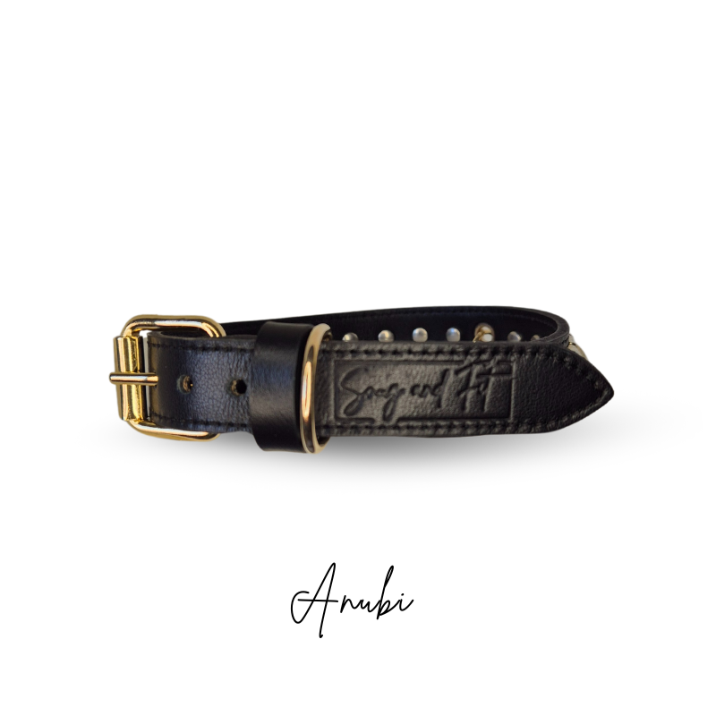 Collare cane ANUBI in vera pelle nero con borchie oro - immagine 3