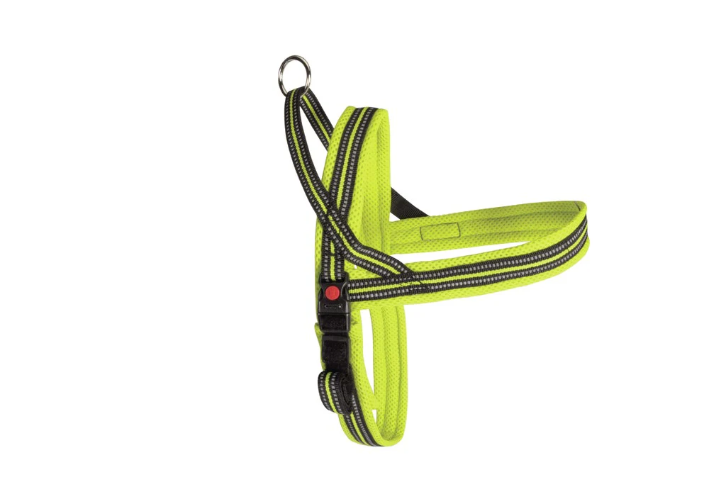 Camon Pettorina "DynamicDog Plus" lime - 100 cm - immagine 2
