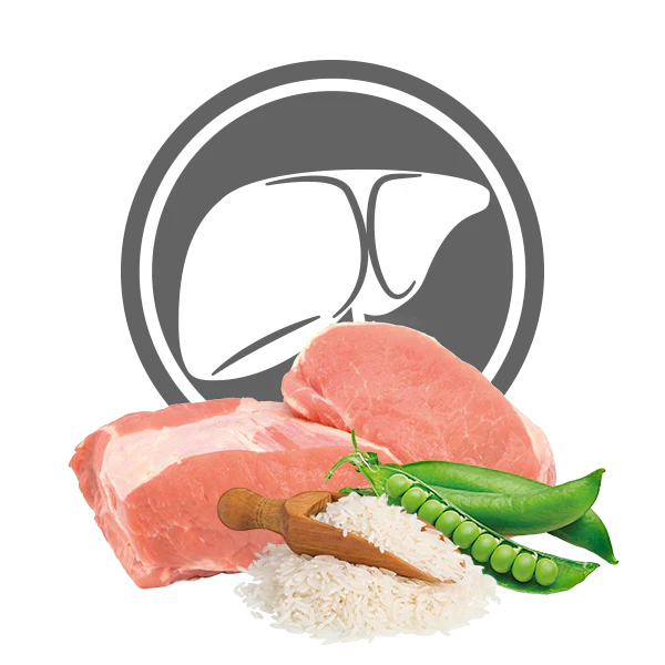 Exclusion Diet Hepatic Small Breed Maiale 2kg Crocchette Cane - immagine 3