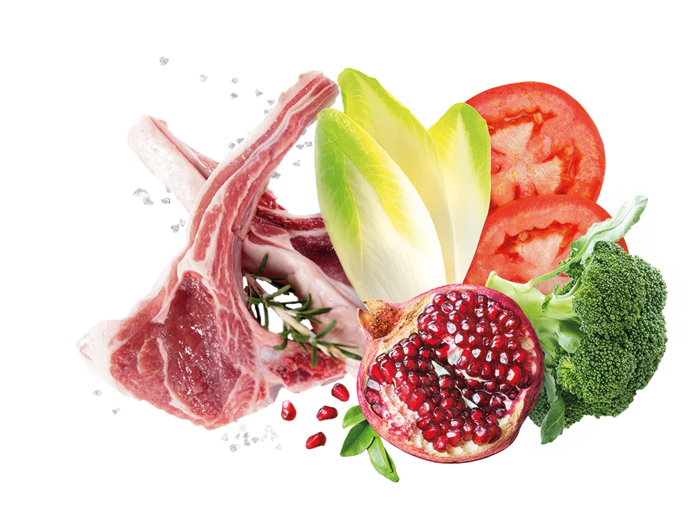 Exclusion Mediterraneo Adult Medium Agnello 12kg - immagine 4