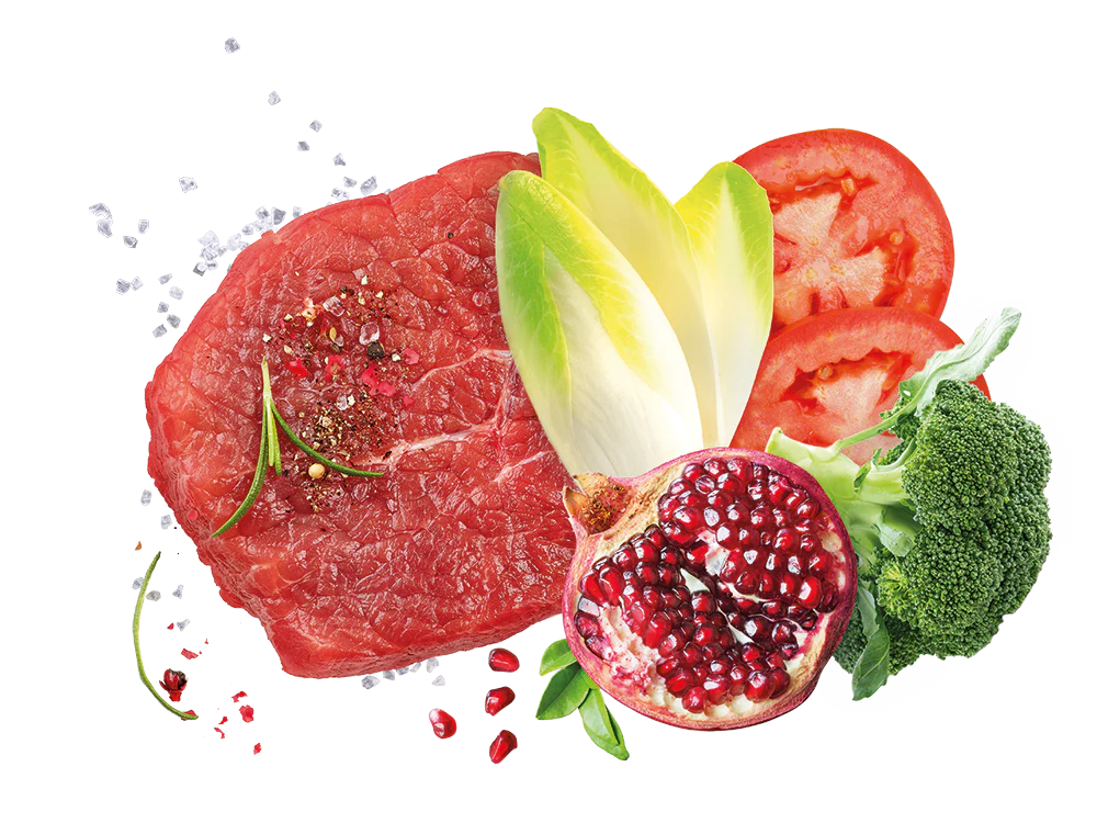 Exclusion Noble Grain Small Breed Manzo 7 kg - immagine 3