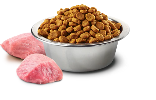 Farmina N&D Prime Kitten Pollo e Melograno 300g Crocchette per Gatti Cuccioli - immagine 3