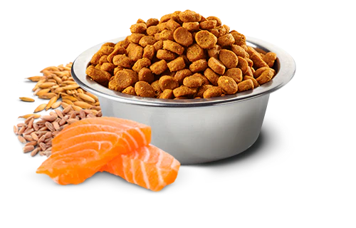 Farmina N&D Tropical Selection Adult Mini Salmone 1,5kg Crocchette Cane - immagine 3