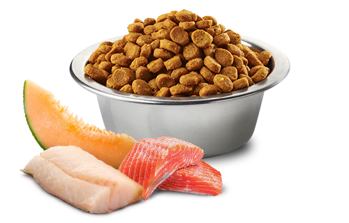 Farmina N&D Cane Ocean Adult Medium/Maxi Merluzzo 2,5kg - immagine 3