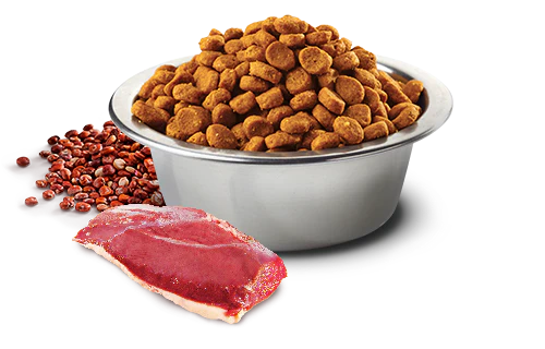 Farmina N&D Cane Quinoa Skin&Coat Medium/Maxi Anatra 2,5kg - immagine 3