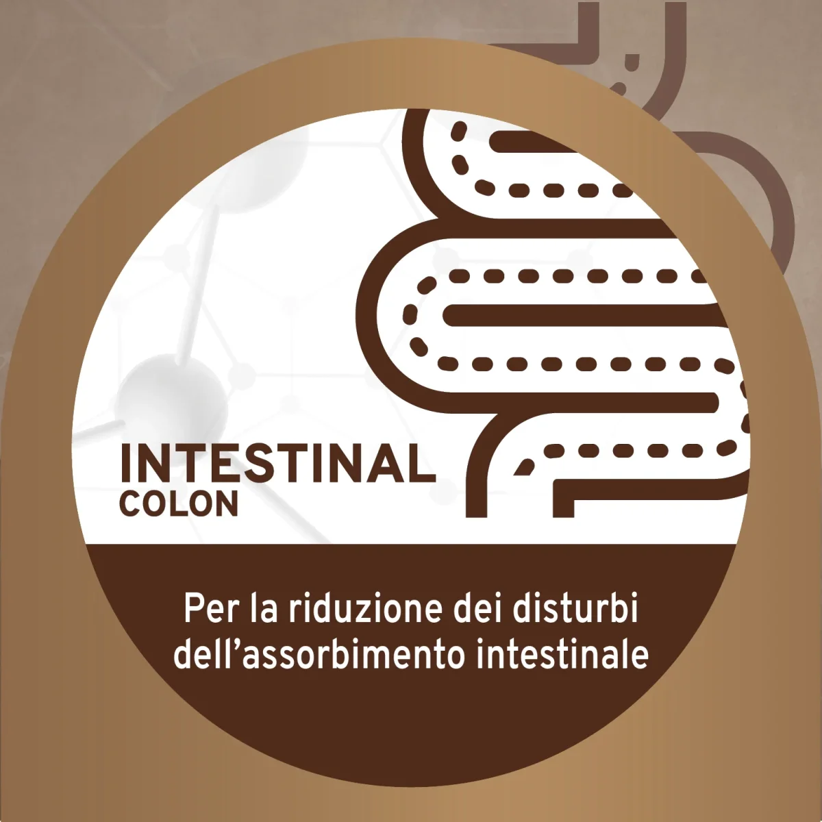 Forza10 Intestinal Colon Pesce Umido Cane 390g - immagine 4