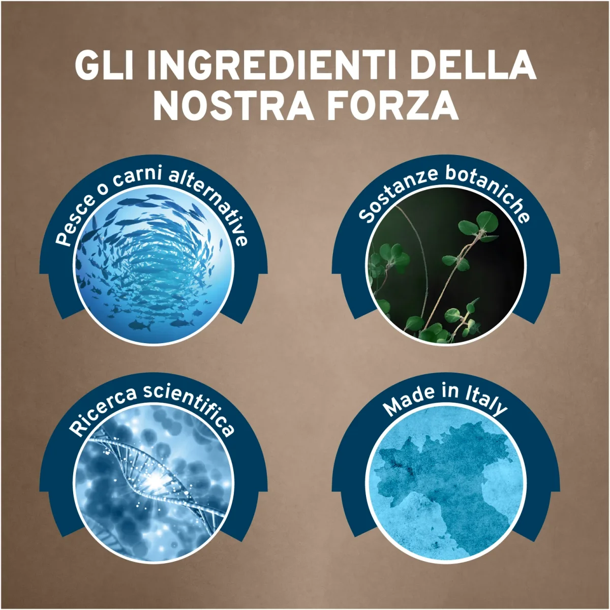 Forza10 Intestinal Colon Pesce Umido Cane 390g - immagine 8