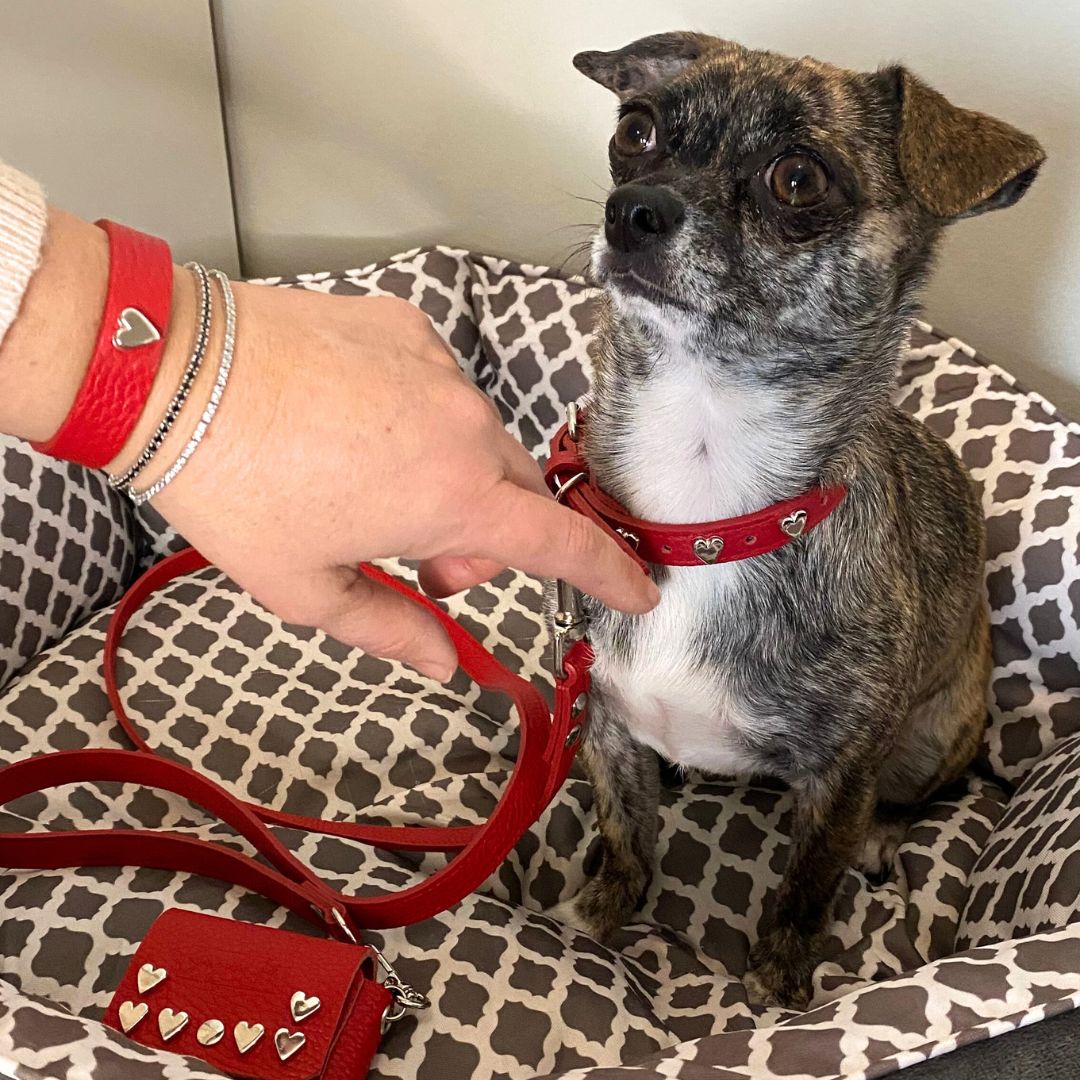 Set cane HEART by Snug&Fit – Collare Guinzaglio Minibag Bracciale – Vera Pelle Rosso - immagine 4
