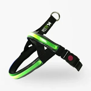 Petty Pettorina Norvegese LED Verde 2XS - Sicurezza Notturna 500m