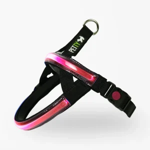 Petty Pettorina Norvegese LED Rosso S - Protezione Totale 500m