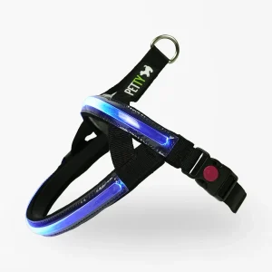 Petty Pettorina Norvegese LED Blu 2XS - Visibilità 500m Ricaricabile