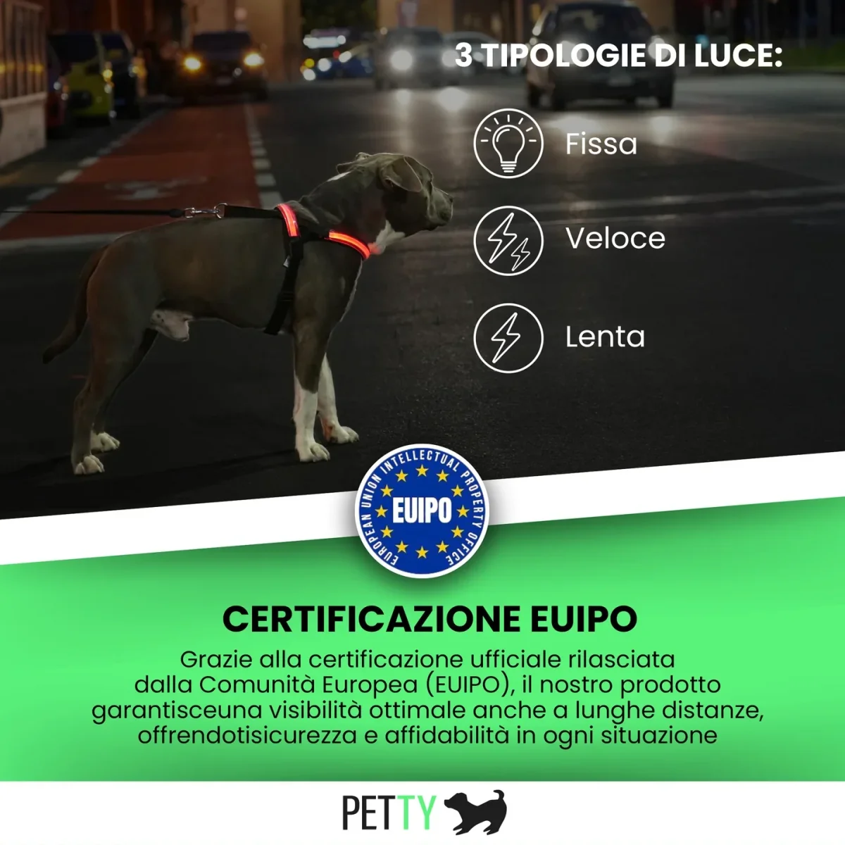 Petty Pettorina Norvegese LED Verde XS - Sicurezza Estrema 500m - immagine 7