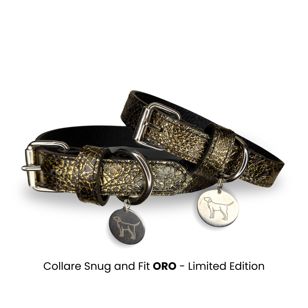 Collare cane Snug&Fit Artigianale in Vera Pelle Nero e Oro – Limited Edition - immagine 2