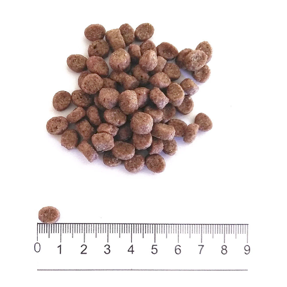 3x2kg Prolife Dual Fresh Adult Mini Tacchino Maiale e Riso - Cane - immagine 4