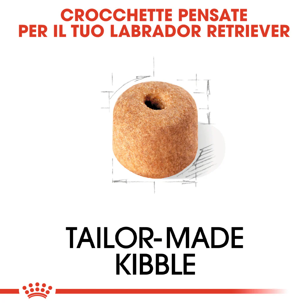 2x12kg Royal Canin Labrador Retriever Adult - Crocchette per Cani - immagine 8