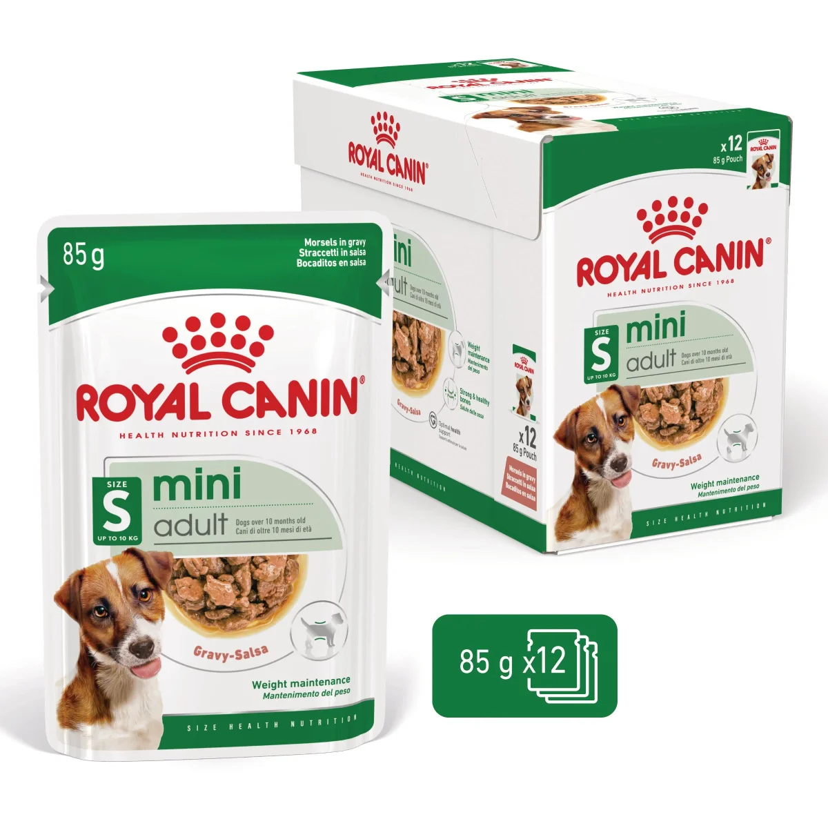 12x85g Royal Canin Mini Adult Bocconcini in Salsa - Umido Cane Taglia Piccola
