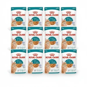 12X85G Royal Canin Feline AGEING 11+ JELLY