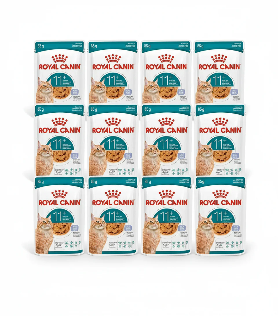 12X85G Royal Canin Feline AGEING 11+ JELLY - immagine 2