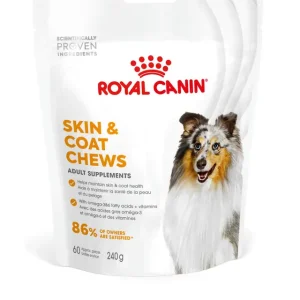 ROYAL CANIN SUPPLEMENT SKIN & COAT 240G