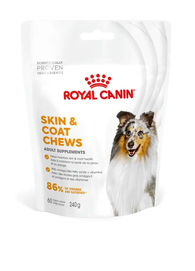 ROYAL CANIN SUPPLEMENT SKIN & COAT 240G - immagine 2