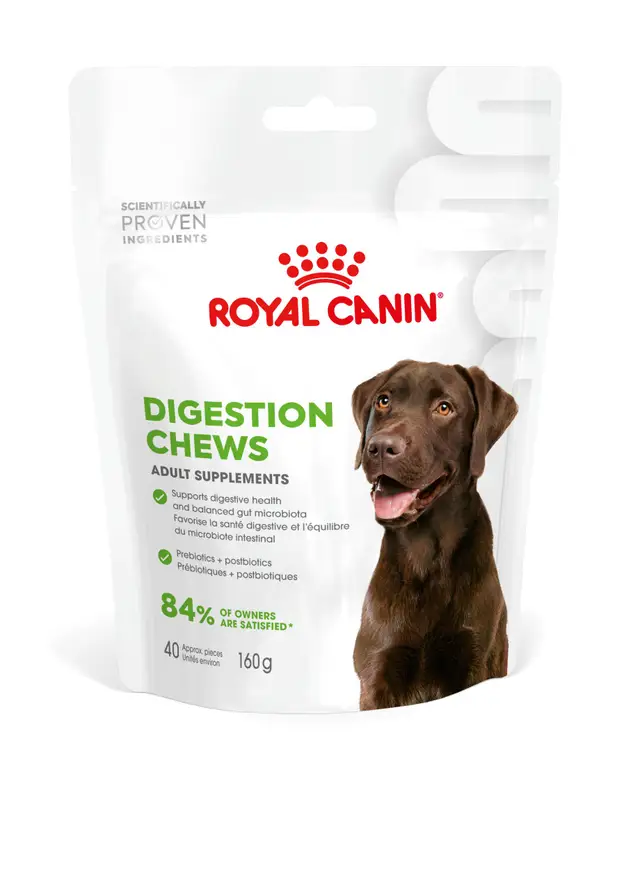 Royal Canin Supplement Digestion 160g - Snack Funzionali Digestione Cane - immagine 2