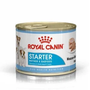 12x195g Royal Canin Starter Mousse - Cibo Umido per Cani