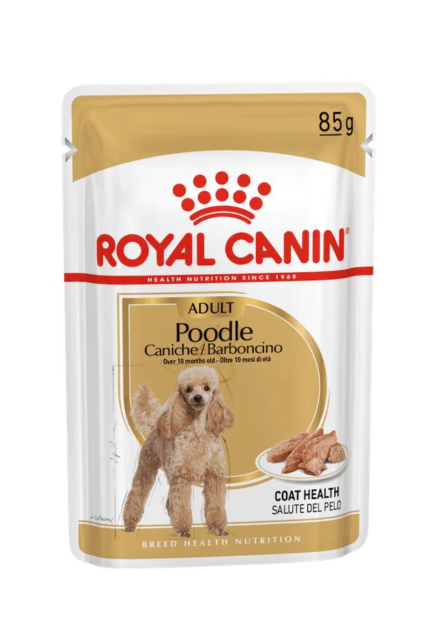 12x85g Royal Canin Barboncino Poodle - Cibo Umido per Cani - immagine 3