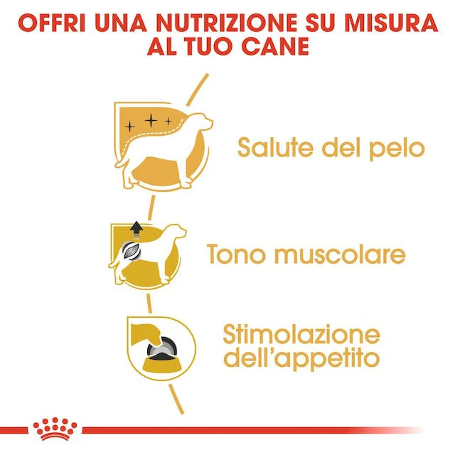 12x85g Royal Canin Barboncino Poodle - Cibo Umido per Cani - immagine 7