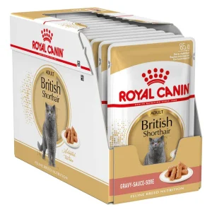 12x85g Royal Canin Adult British Shorthair - Umido Gatto